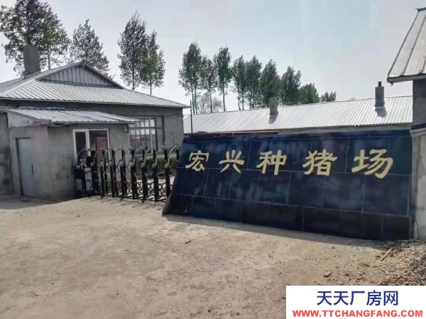 巴彥豬場(chǎng)基礎(chǔ)設(shè)施良好，可直接進(jìn)場(chǎng)