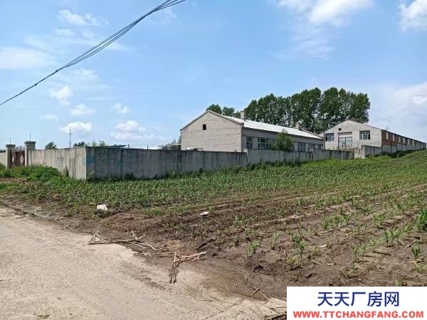 阿城占地7000平 廠房11000平 動(dòng)力電 水井兩處 機(jī)械廠房