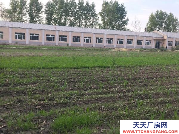 阿城出售廠房庫房場地房屋8百多平方 大庫1200平方 污水處理廠