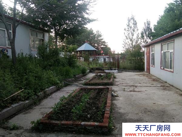 阿城山清水秀，林地養殖場出售