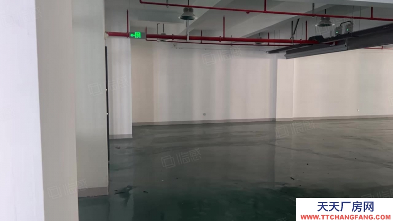 金華市浦江(出租) 浦江全新廠房出租2200平米 配15噸汽車電梯價格可面議