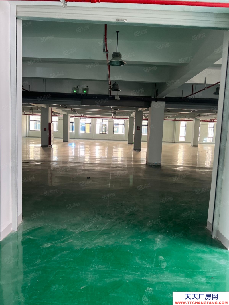 金華市浦江(出租) 浦江全新廠房出租2200平米 配15噸汽車電梯價格可面議