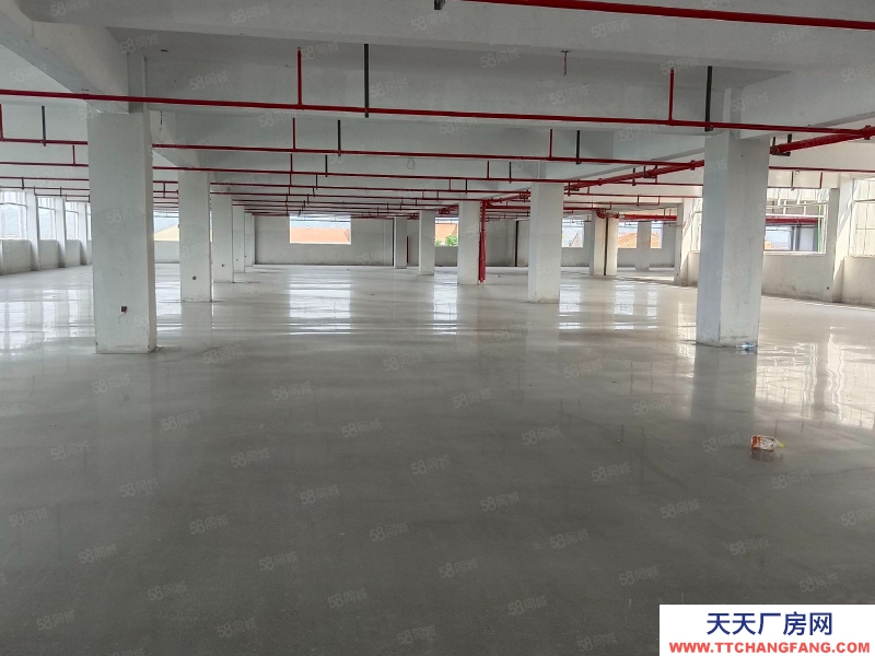 金華市浦江(出租) 黃宅全新2100平，可做輕污染行業(yè)