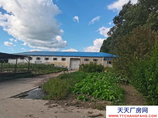 哈爾濱雙城區標準家具廠房出租