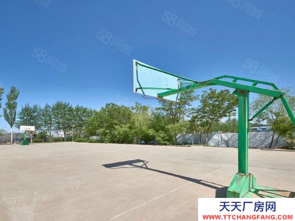 銀川市金鳳速凍食品廠房  格瑞銀春商務中心1400平米標準車間倉庫招商出租出售