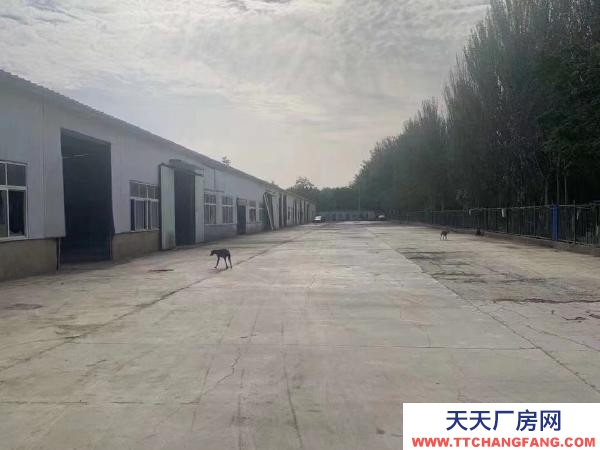 銀川市金鳳機(jī)加工廠房  可小面積租出 隨時(shí)看房