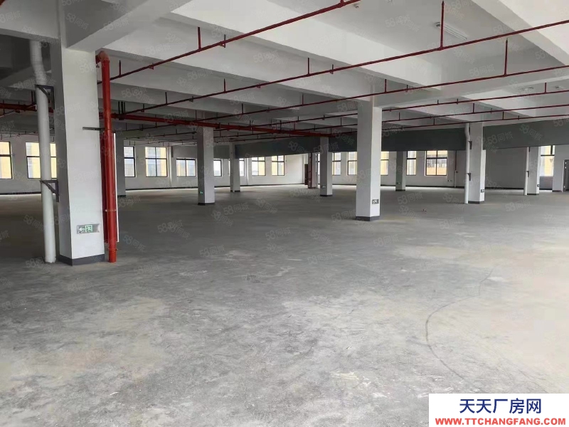 金華市浦江(出售) 浦江誠心出售新建廠房公寓,3000多平,即買即用