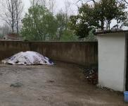 (出租) 信陽浉河金牛產業集聚區房屋倉庫大院租賃