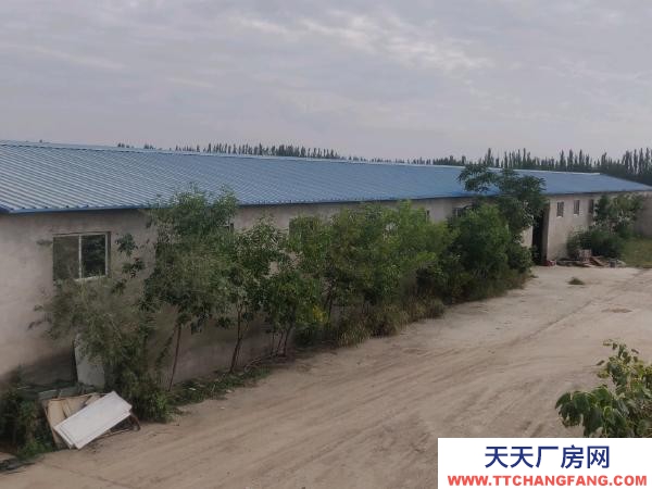 銀川市興慶機(jī)加工廠房 掌政鎮(zhèn)。廠房出租，水電齊全，帶住房，隨時可看房