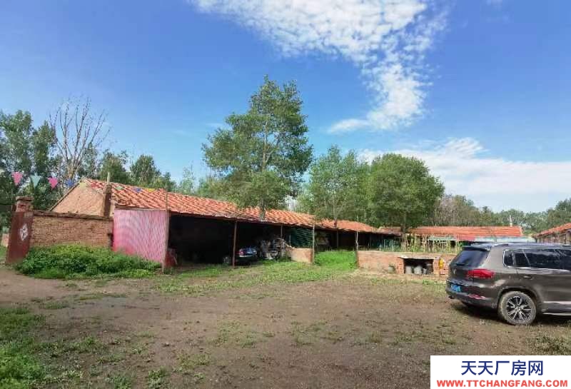 張家口 沽源 (出租) 大型養殖場，手續齊全！
