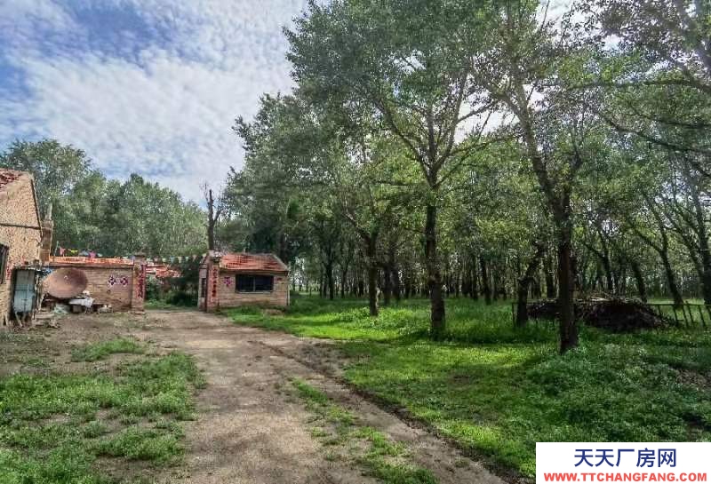 張家口 沽源 (出租) 大型養殖場，手續齊全！