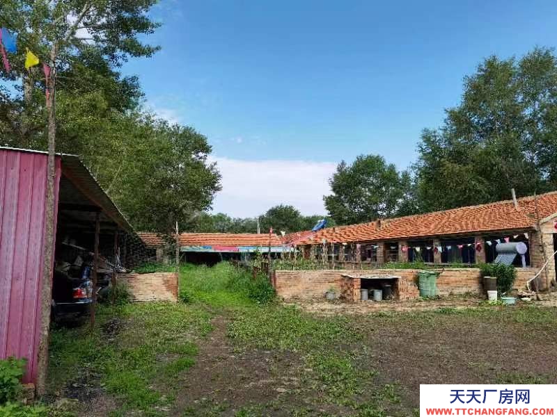 張家口 沽源 (出租) 大型養殖場，手續齊全！