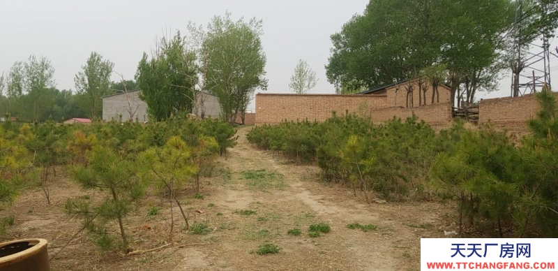 張家口 蔚縣 (出租) 蔚縣縣城附近七畝大院出租。