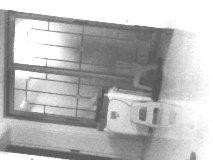 (出租) 包頭出租羊山窯溫室大棚院，