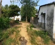 (出租) 信陽光山養(yǎng)殖場(可養(yǎng)豬，養(yǎng)羊)