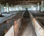 (出租) 信陽光山養(yǎng)殖場(可養(yǎng)豬，養(yǎng)羊)