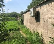 (出租) 信陽新縣可用于養殖,加工廠,農家莊園