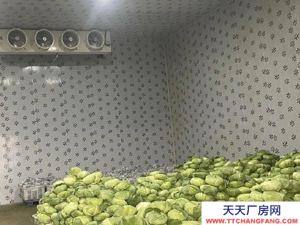 銀川市西夏物資倉庫 果蔬保鮮庫出租（可售）