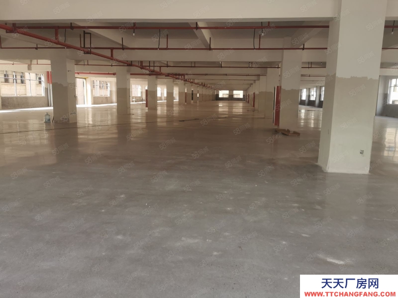 金華市東陽(出租) 畫水上塢工業(yè)區(qū)標準廠房5樓各3450平價格120一年