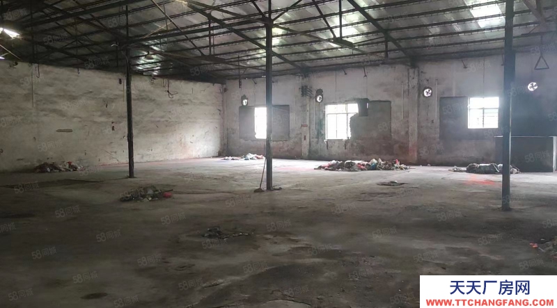 (出租) 陽江江城新國道舊廠房,可以入大車,總面積3000平方,適合物流