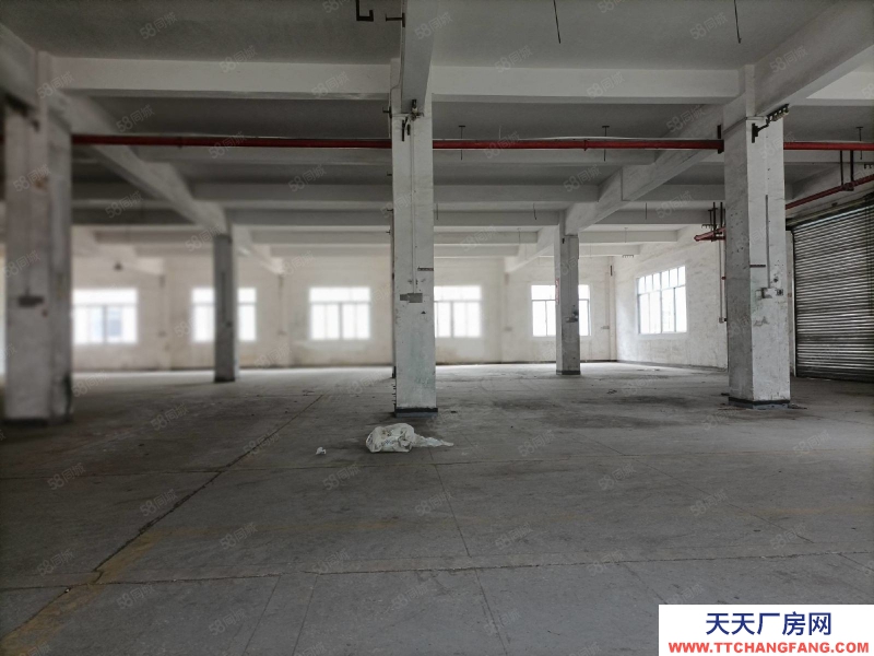 (出租) 陽江江城金郊小學(xué)附近整棟房1500平方出租，適于電商或制衣