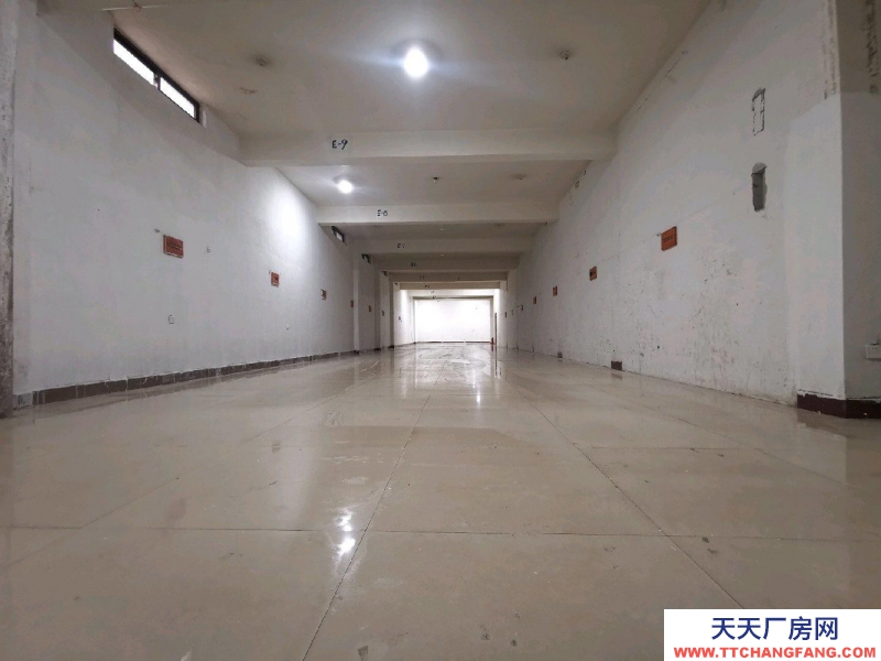 金華市東陽(出租) 地下室岀租，位置佳，2噸電梯。