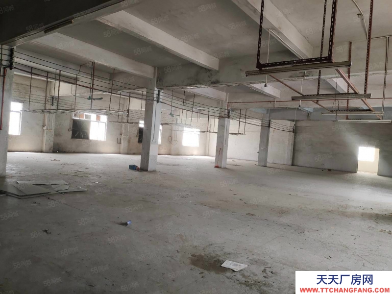 (出租) 陽(yáng)江江城平郊大路邊700平方框架廠房只租6500元月適合電商