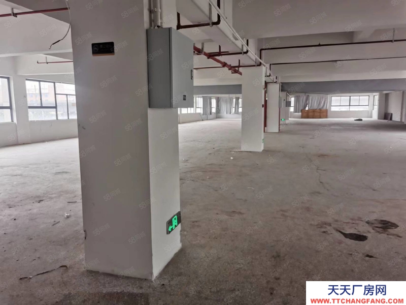 金華市東陽(出售) 東陽全新廠房出售，1000平起售首付2成帶食堂宿舍交通方便