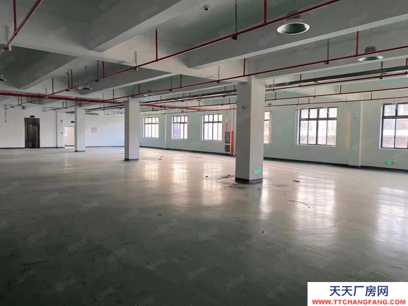 金華市東陽(出售) 東陽全新廠房出售,1000平起售首付2成帶食堂宿舍交通方便