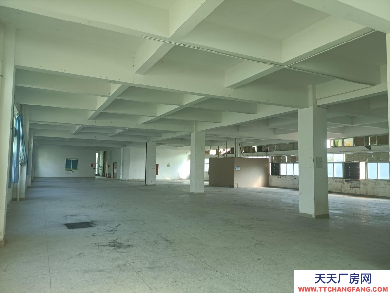 (出租) 陽江陽西標準三層廠房適合電子加工