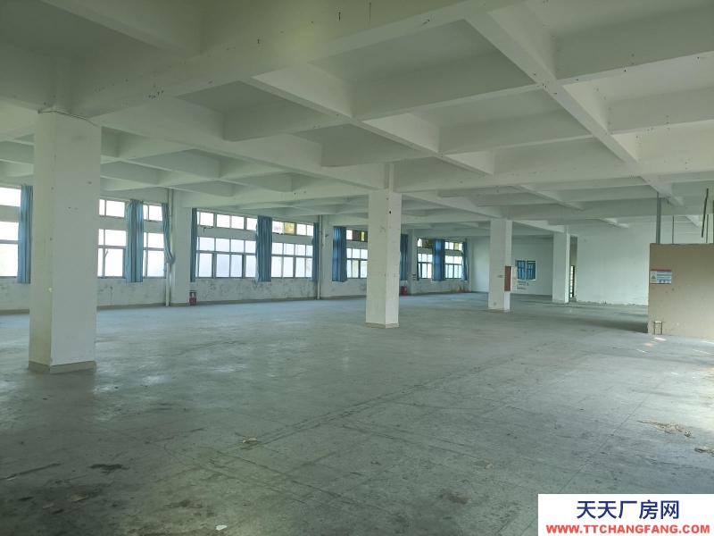 (出租) 陽(yáng)江陽(yáng)西標(biāo)準(zhǔn)三層廠房適合電子加工