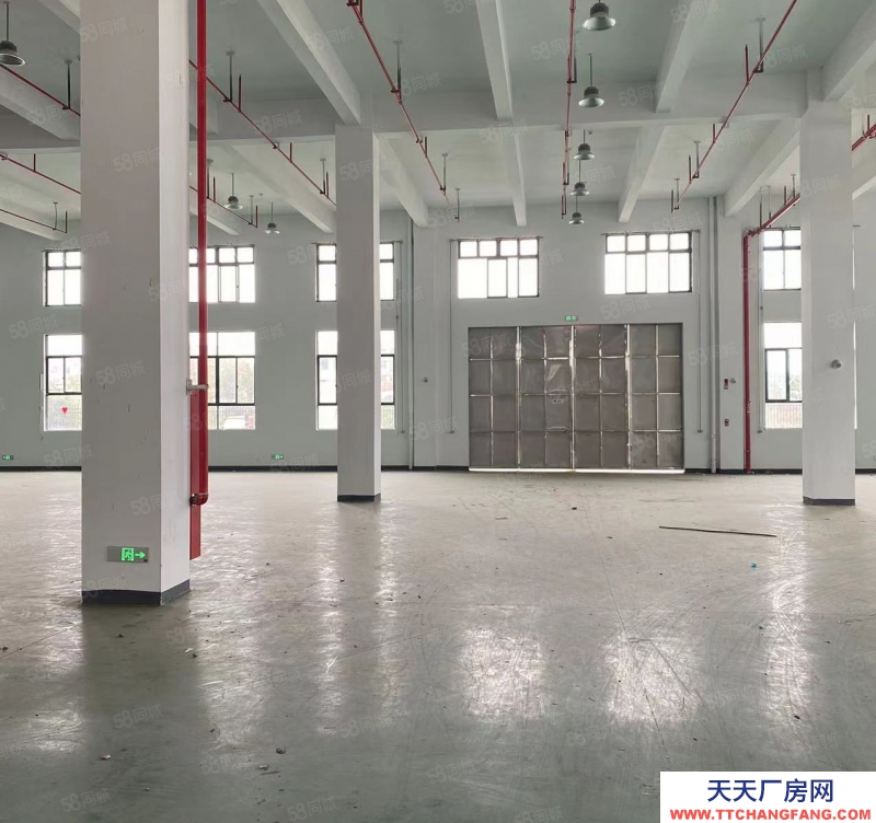 金華市東陽(出售) 全新廠房出售,面積1000平起均價2702成帶食堂宿舍