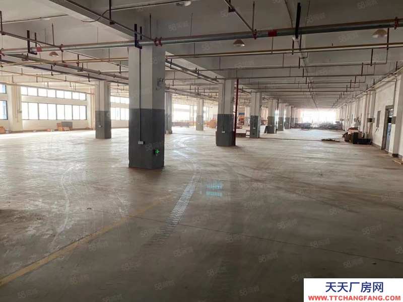 金華市東陽(出售) 全新廠房出售，面積1000平起均價2702成帶食堂宿舍