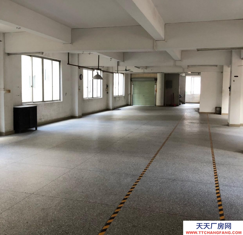 (出租) 陽江陽西自建獨立廠房，四面見光，水電，消防齊小型加工