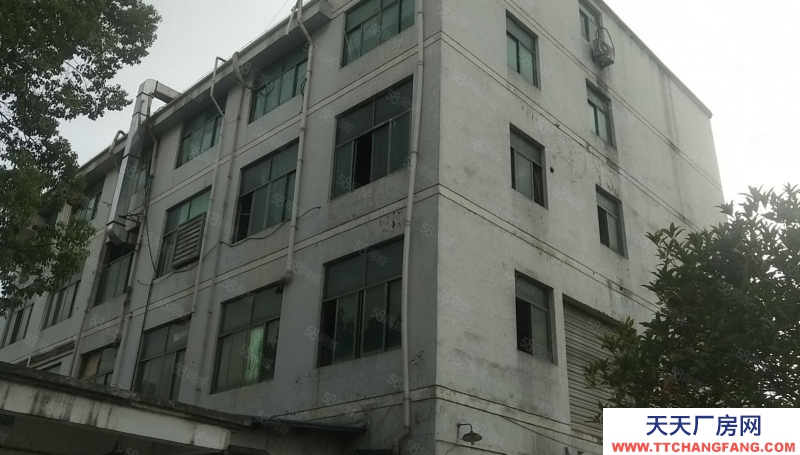 金華市東陽(出售) 東陽五馬塘獨門獨院廠房，緊挨義烏