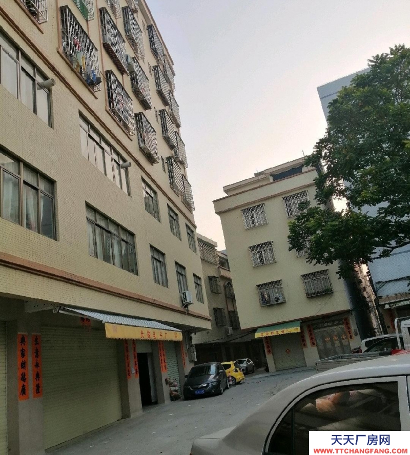 (出租)陽江陽西廠房里面寬曠，周邊人員密集，服務太度好，交通方便。有停車場