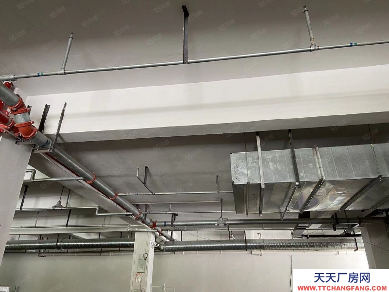 金華市東陽(出售) 東陽巍山單一樓房源 即買即用,房東急出