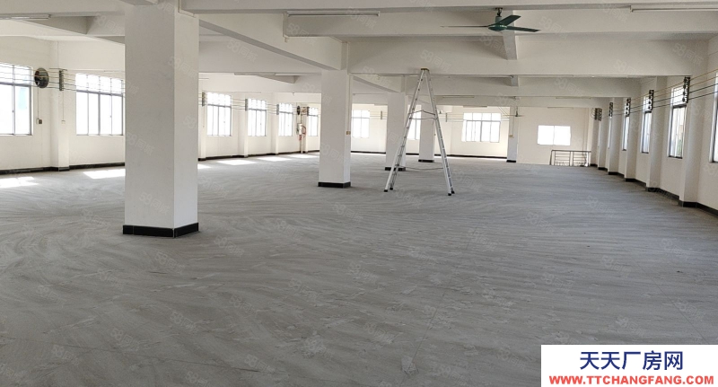 (出租) 陽江陽東廠房出租,適合制衣廠,包裝,電子等