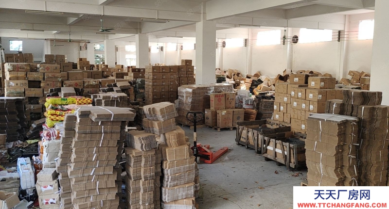 (出租) 陽江陽東廠房出租，適合制衣廠，包裝，電子等