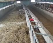 (出售) 信陽固始一個牛圈一個羊圈一個雞舍，兩套農宅