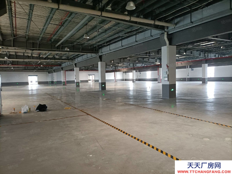 (出租) 陽江陽東萬象工業園6000平方（可分租），租8元平方適合調味品