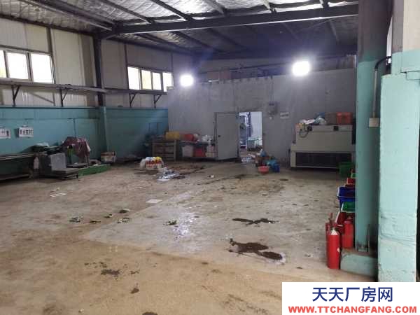 銀川市永寧物資倉庫 出租永寧四季鮮蔬菜批發(fā)市場庫房帶冷庫