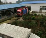 (出租) 信陽潢川低價出租出售倉庫帶冷庫設備三相電帶車位位置優越價錢便宜