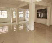 (出租) 出租信陽息縣廣電局對面二道門面