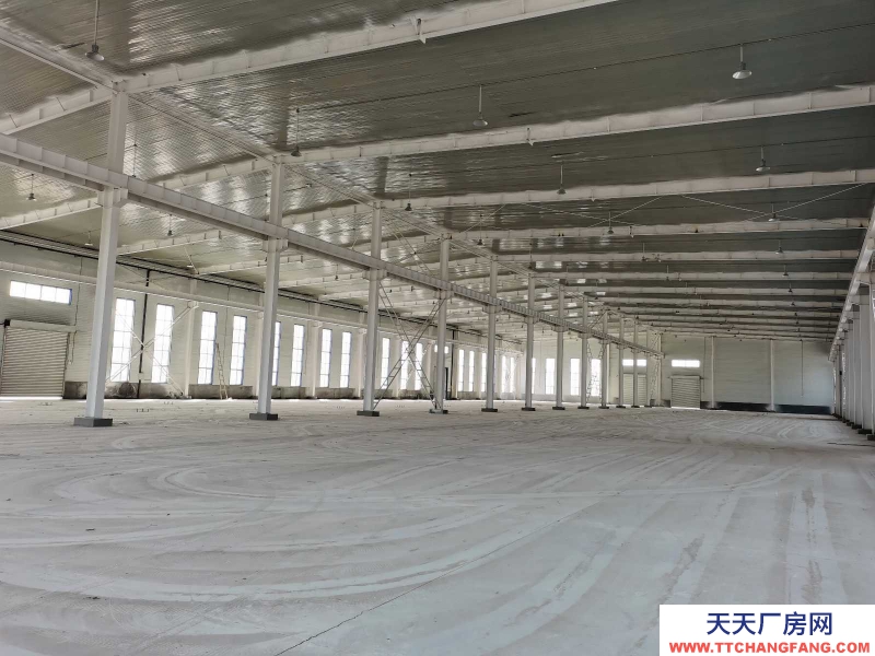 滄州 黃驊(出售) 出售滄州市黃驊南大港高新區新建獨院豆制品廠房