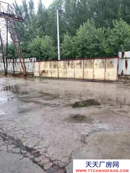 滄州 泊頭(出租) （易幫源）泊頭市蘇辛莊村540平干制水產(chǎn)品廠房