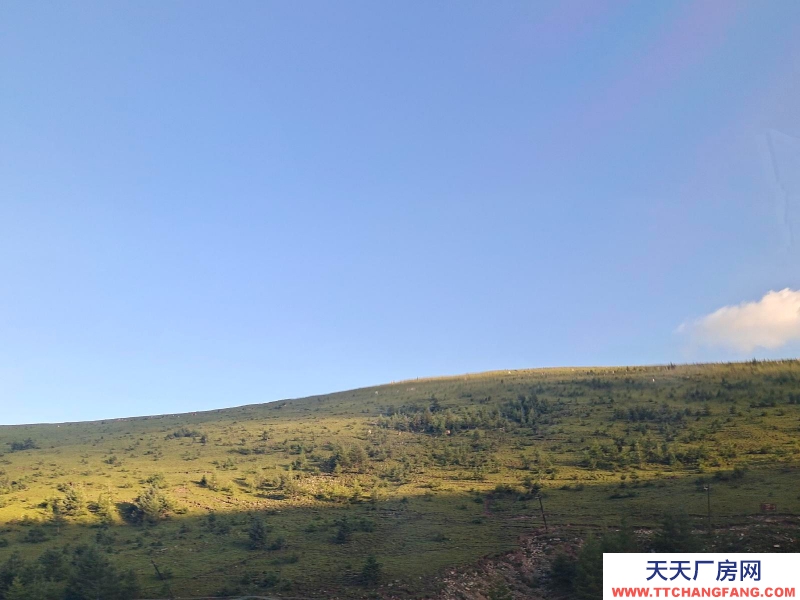 (出售) 包頭固陽地處包頭市固陽縣前期交界處無污染，環保養豬場