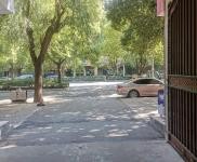 (出租) 駐馬店西平交通便利,功能齊全,超大面積,用途廣泛!