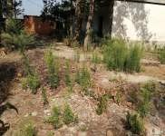 (出售) 駐馬店驛城正規房源，安全可靠，獨立廠房，可以養殖