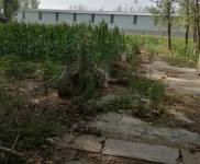 (出售) 駐馬店驛城正規(guī)房源，安全可靠，獨(dú)立廠房，可以養(yǎng)殖